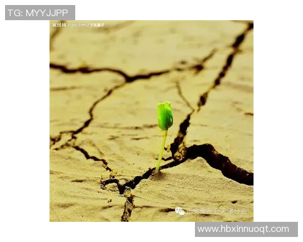 足球明星养病期间的励志视频分享与康复之路探讨